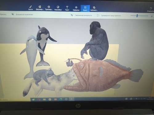 Image AQADgPcxG2MRMEl-_954e0a82-fb52-42ad-a9bf-dc8eb78c5d08.jpg