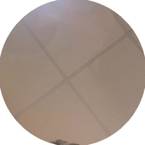 Video AgADdoYAAkkzMUk_a1411573-188a-4534-a17a-53ce040abafa.mp4